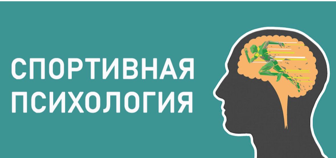 WhatsApp Image 2025-01-09 at 10.49