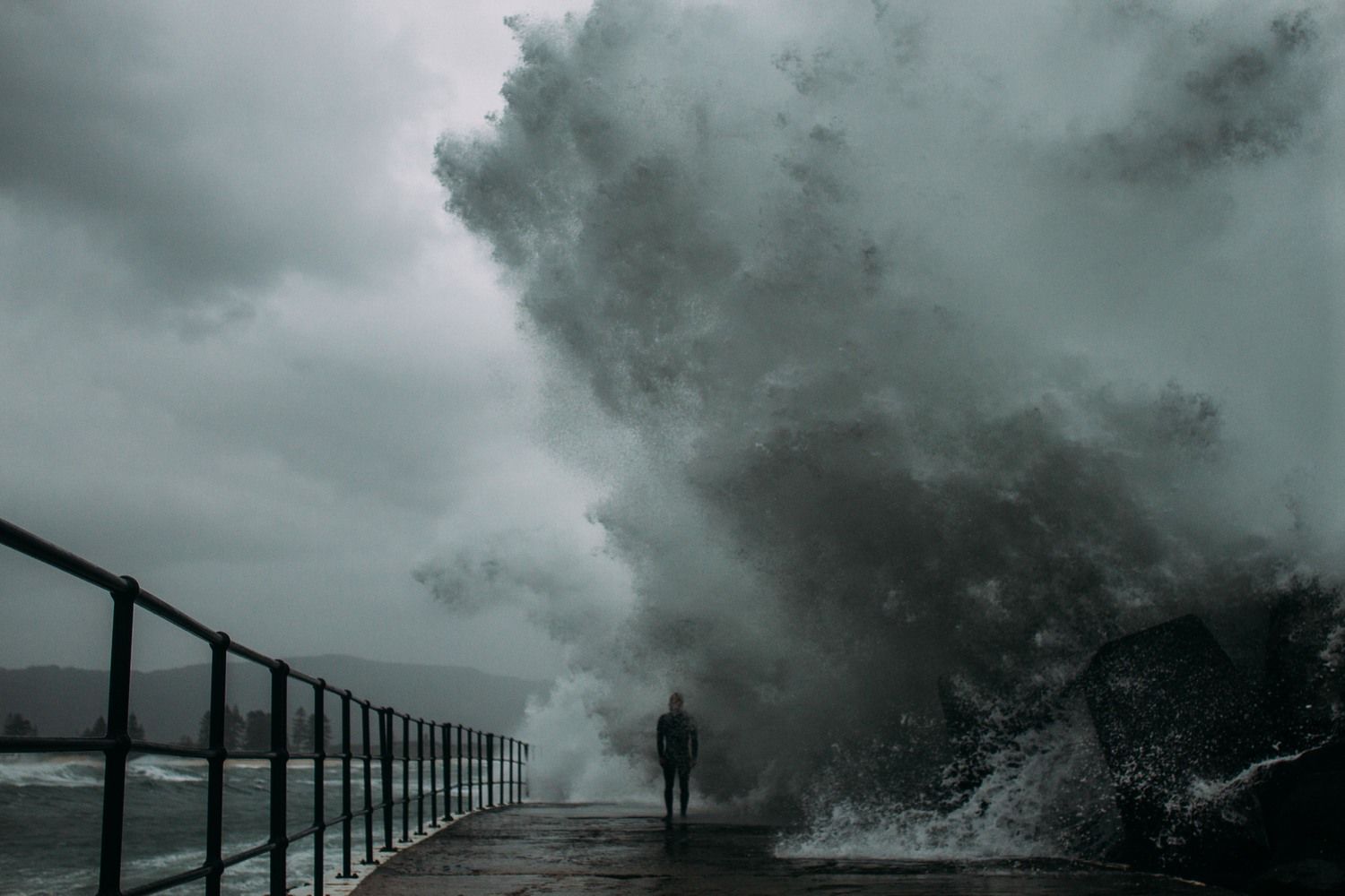 photo_2025-01-28_16-35-18