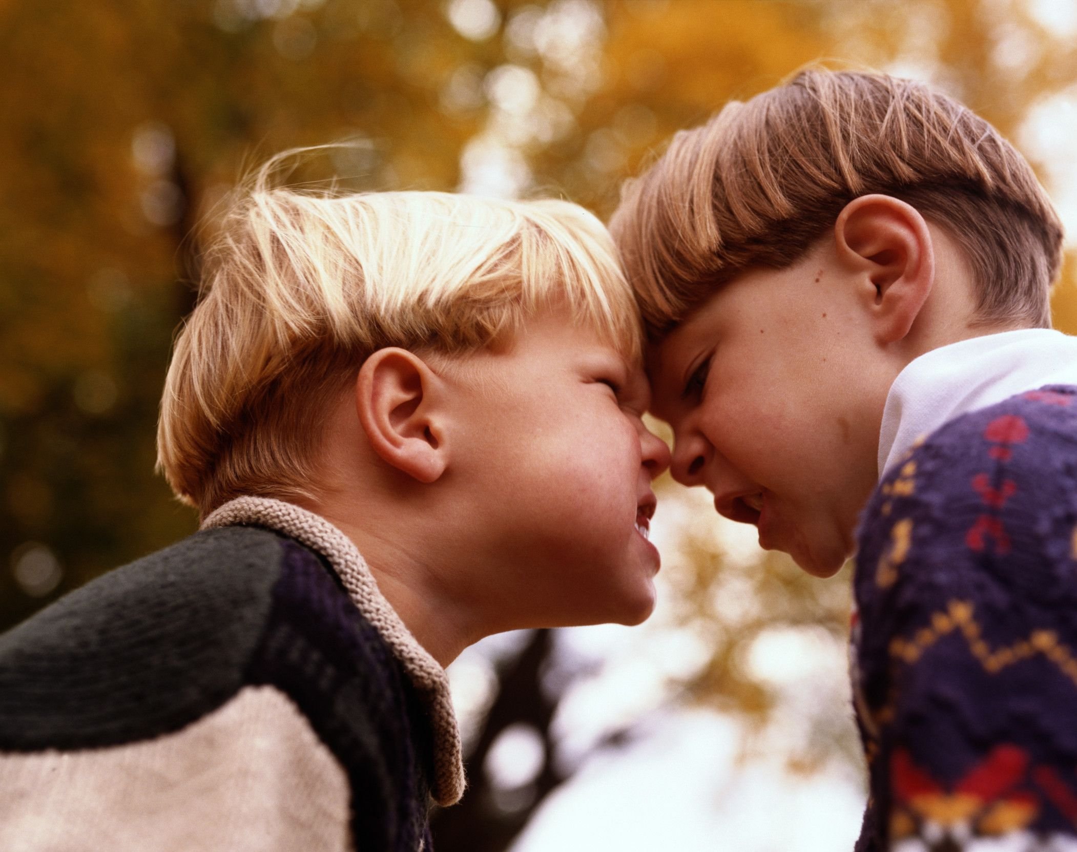 photo_2025-09-15_20-41-17